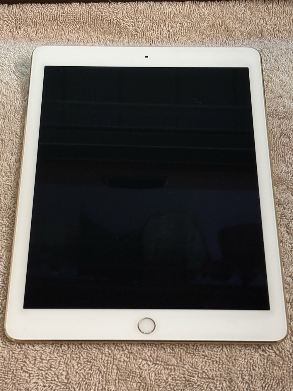 Apple iPad Air 2 64GB Wi-Fi Gold with Protective Case & Original Box - Picture 4 of 16